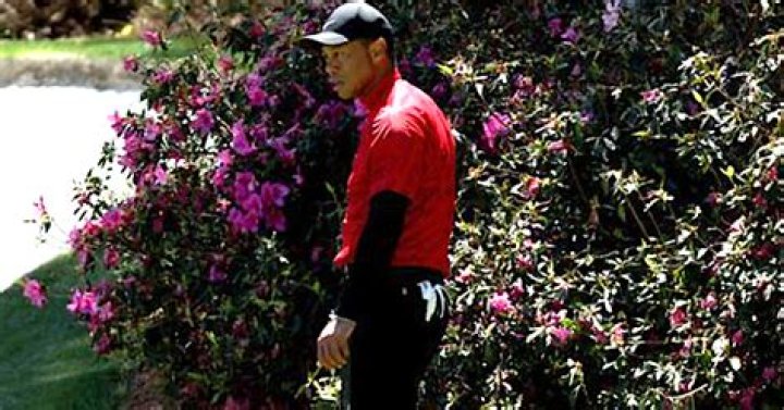 Is Tiger Woods Left Handed?